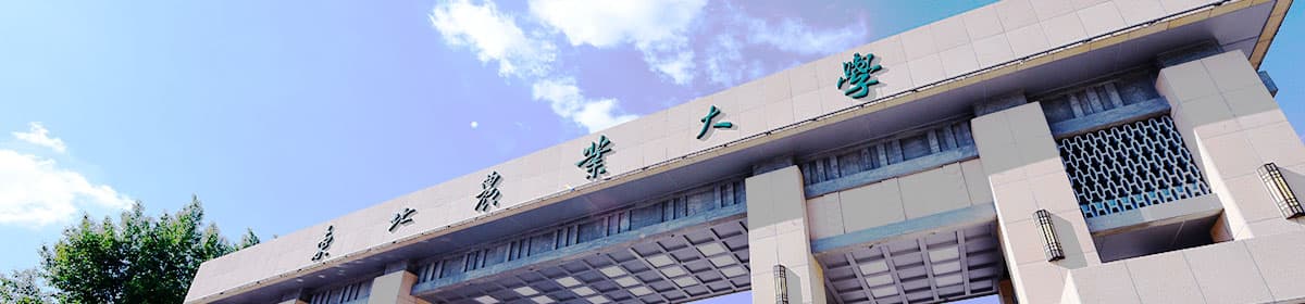 Northeast Agricultural University