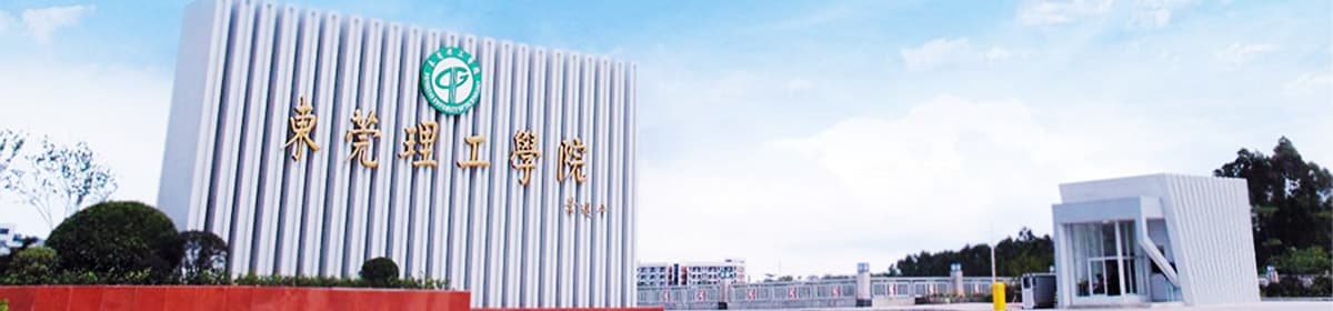 Dongguan University Of Technology