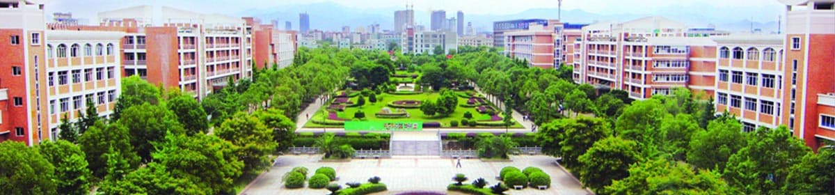 Lishui University