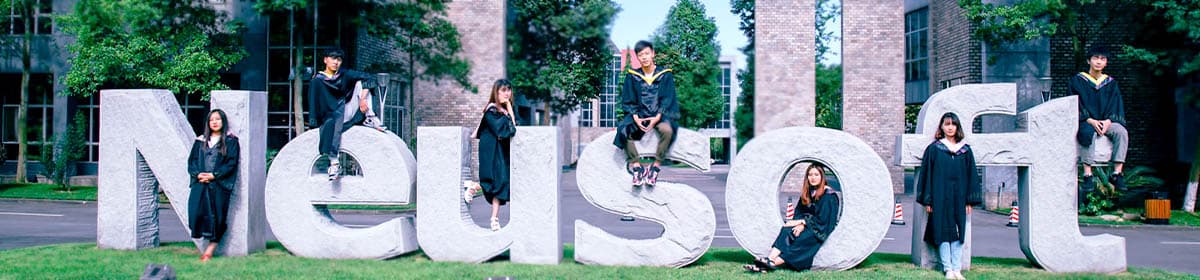 Chengdu Neusoft University
