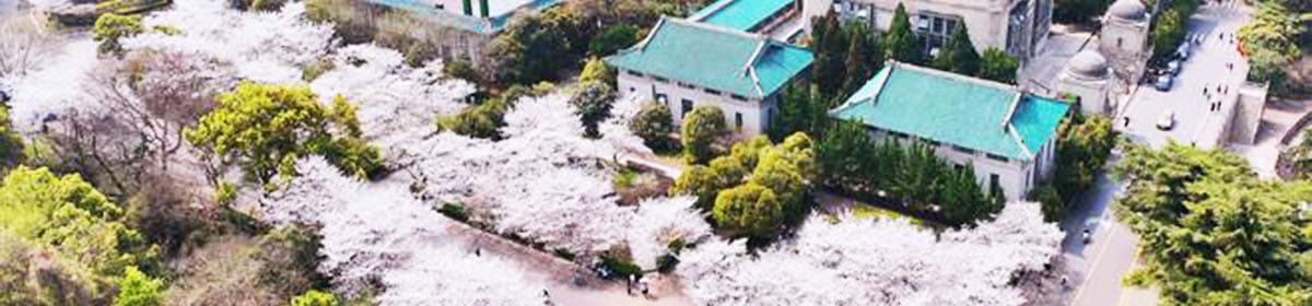 Wuhan University