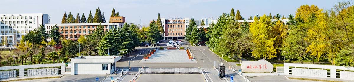 West Anhui University