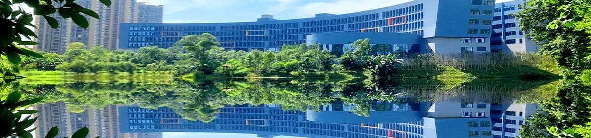 Chongqing College of International Business and Economics