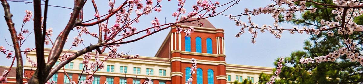 Changchun University Of Technology