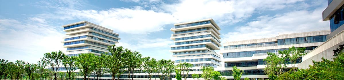 Alibaba Business School, Hangzhou NormaI University