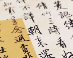 Chinese Language (One year)