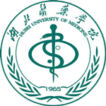 Hubei University Of Medicine