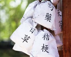 Traditional Chinese Medicine