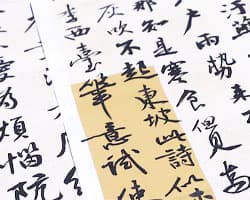 Chinese Language (Beginner Level)