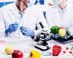 Food Science and Engineering